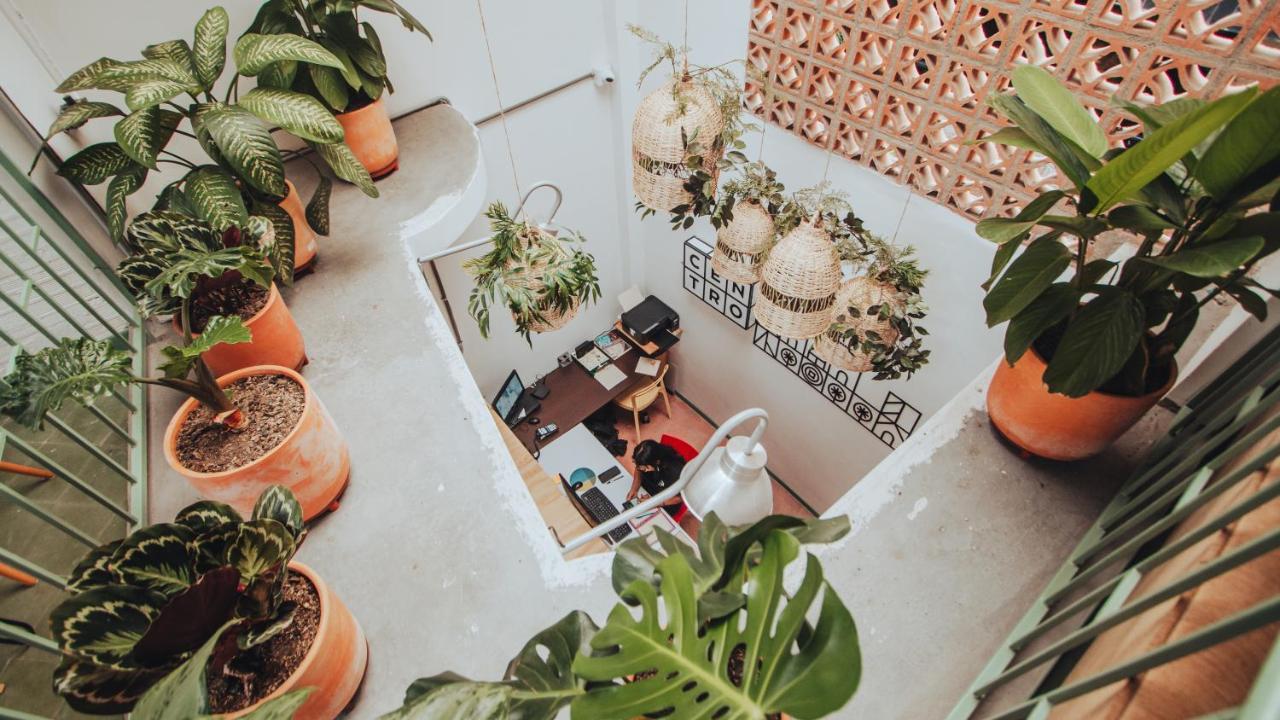 Centro Hostel Medellín Dış mekan fotoğraf